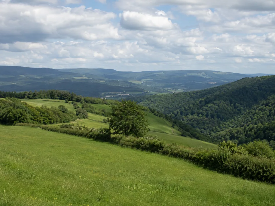 Westlicher Taunus: offene Hochfläche mit Hecken und tiefen Seitentälern