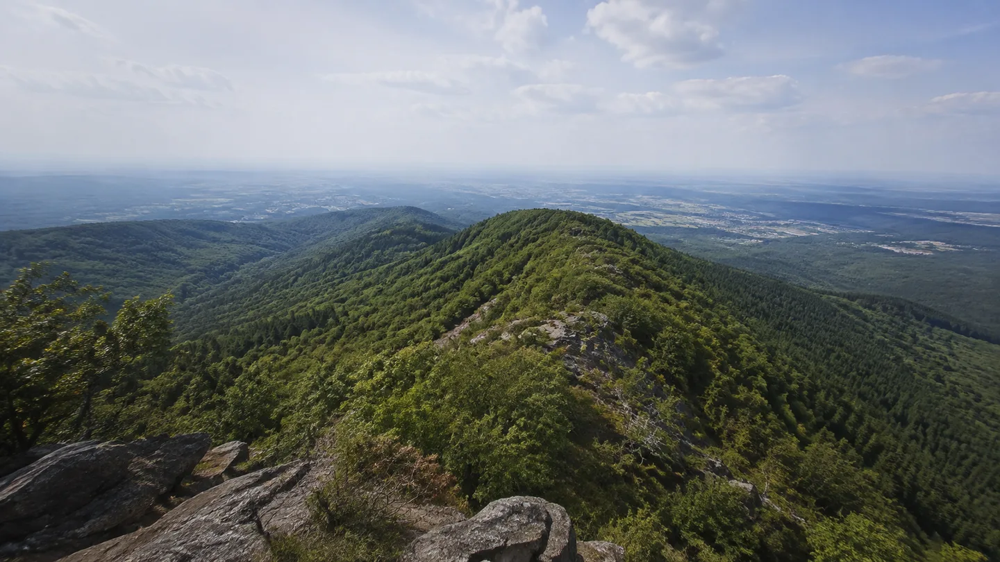 Taunus: Taunuskamm: bewaldeter Quarzitkamm mit weitem Blick über Rhein-Main