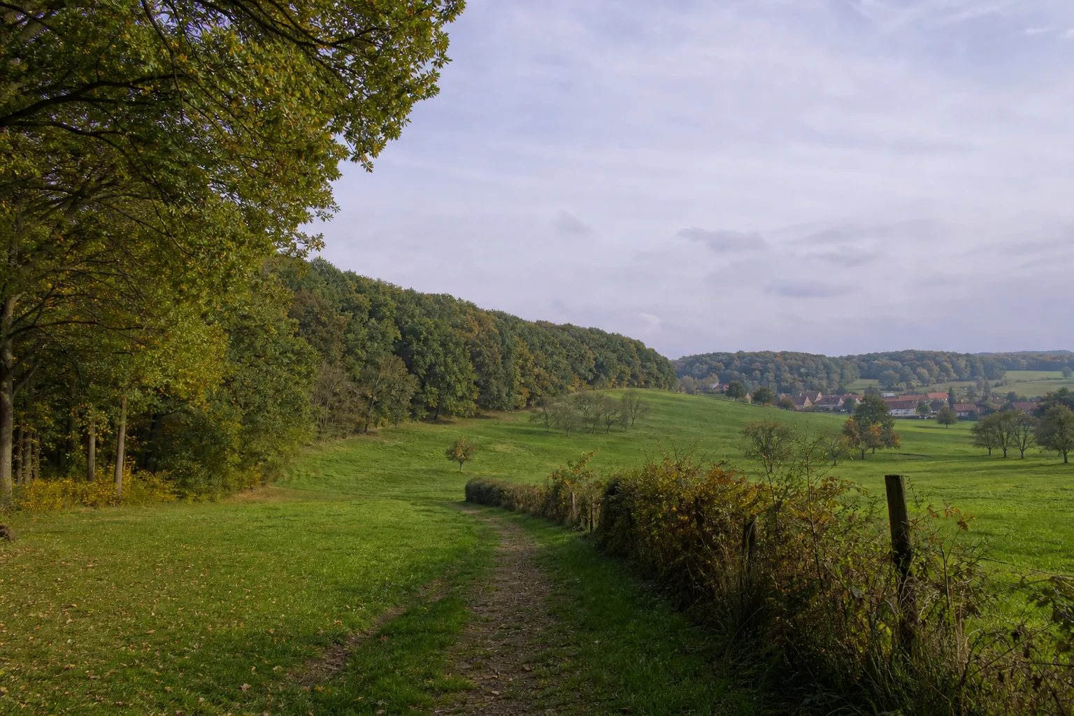 Wiesenweg zwischen Leeden und dem Teutokamm bei Tecklenburg