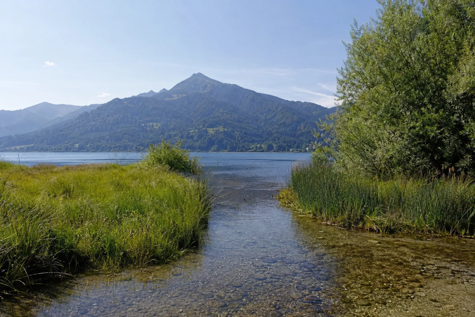 Weißachmündung: naturnaher Flusslauf mit Kies und Schilf am Südufer
