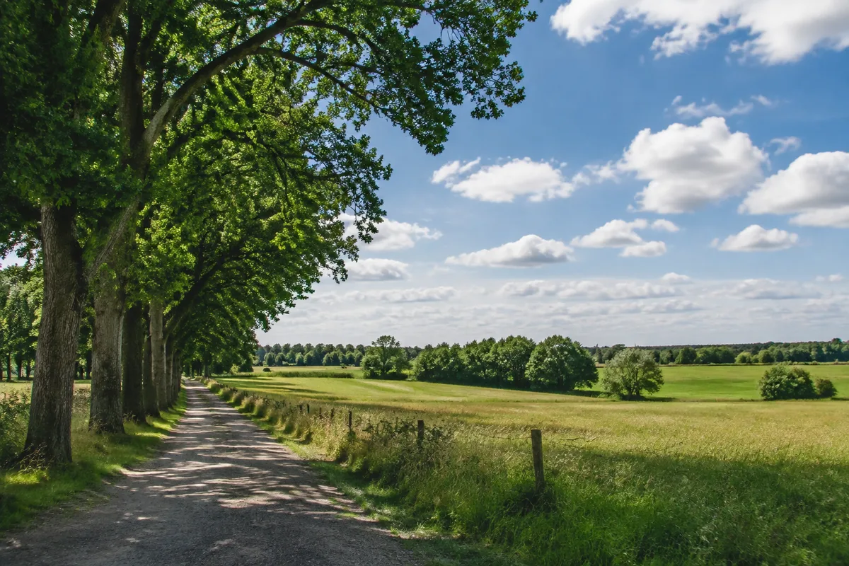 Baumallee und offene Wiesen am Dorfrand von Teschow