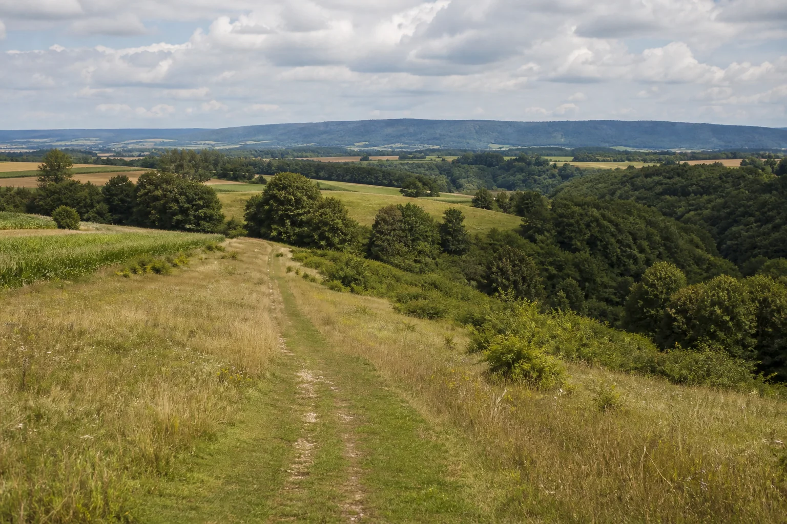 Offener Feldweg im Paderborner Land vor dem bewaldeten Teutoburger Wald