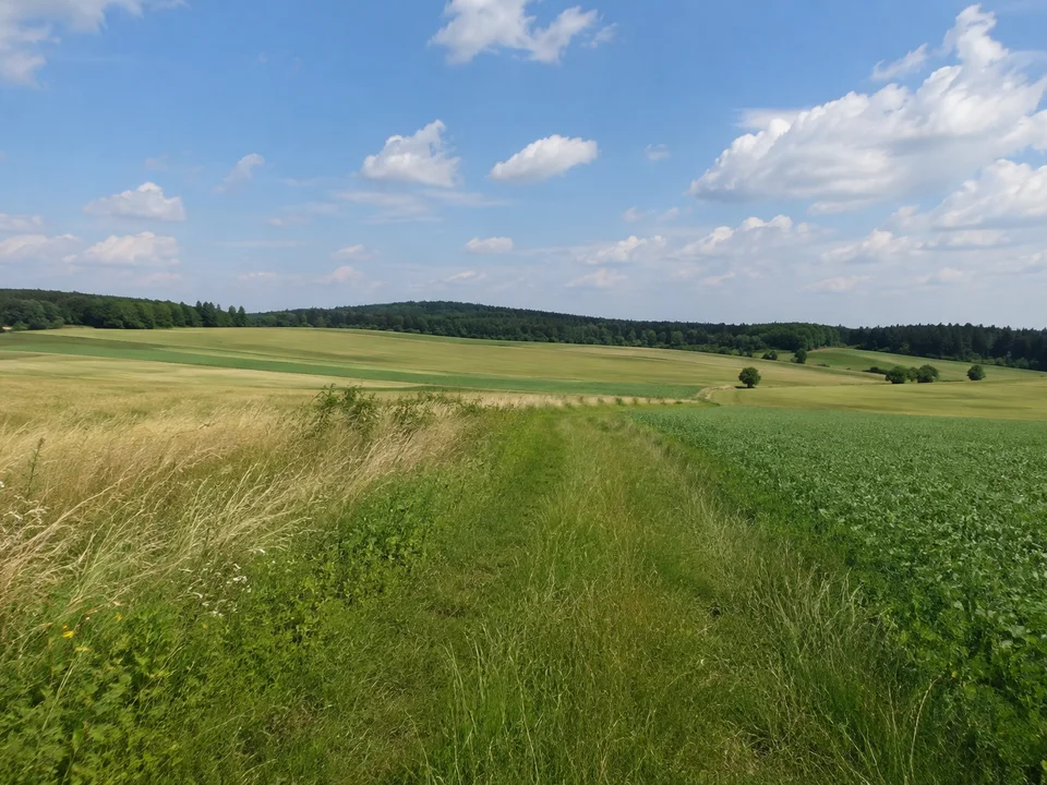 Pohrsdorfer Hochfläche: sanft wellige Felder mit Wiesenrändern und fernem Waldsaum unter weitem Himmel