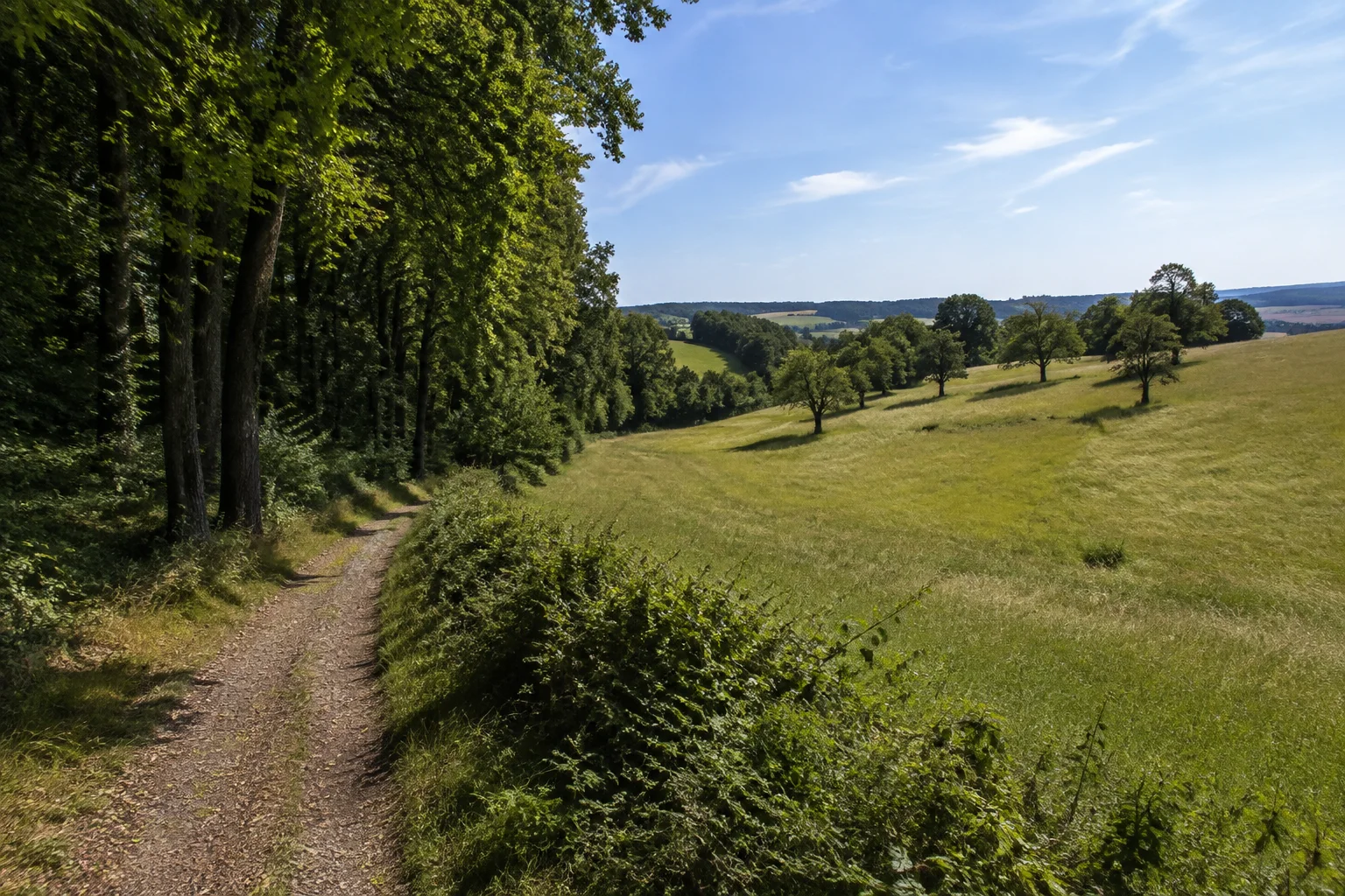 Theley: Weg am Wechsel von Buchenwald und hügeliger Wiese, vereinzelte Obstbäume und Hecken.