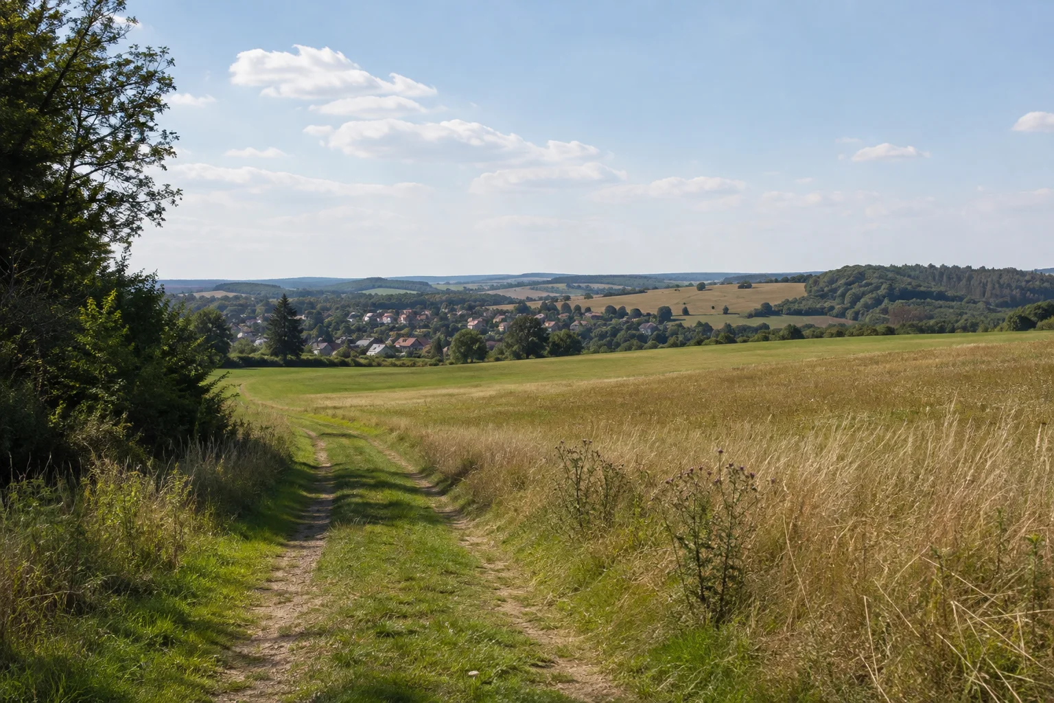 Hasborn-Dautweiler: sanfte saarländische Feldhügel, Wiesenweg und lockere Waldinseln hinter dem Dorf.