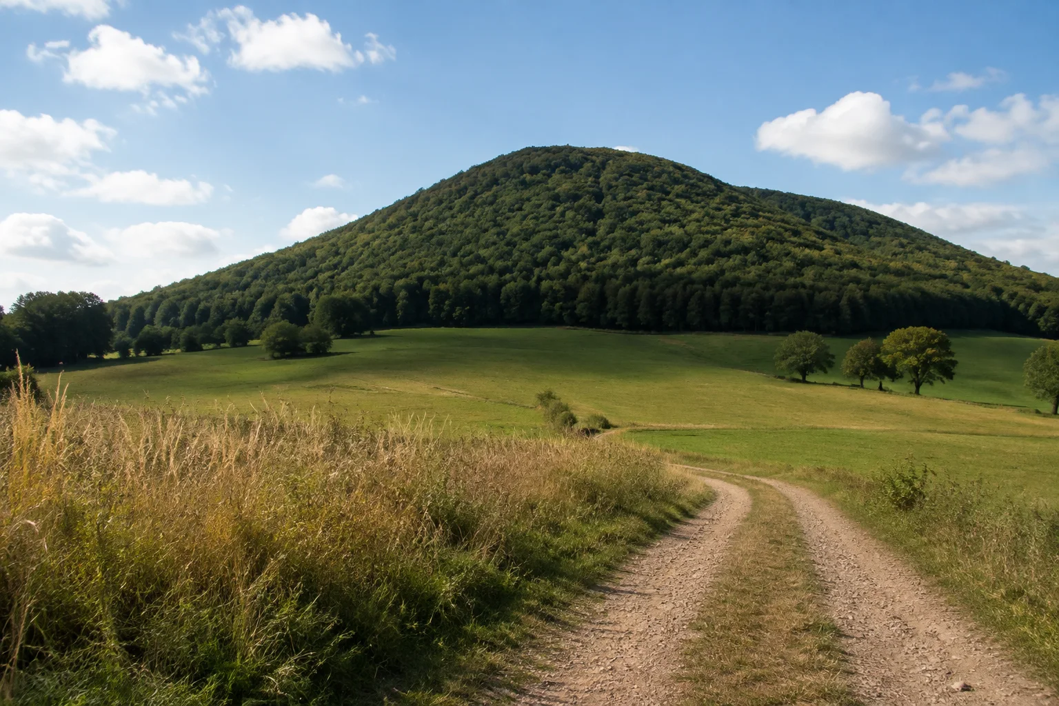 Tholey: Schaumberg bei Tholey: markanter einzelner runder bewaldeter Hügel über offenen Wiesen und einem Feldweg.