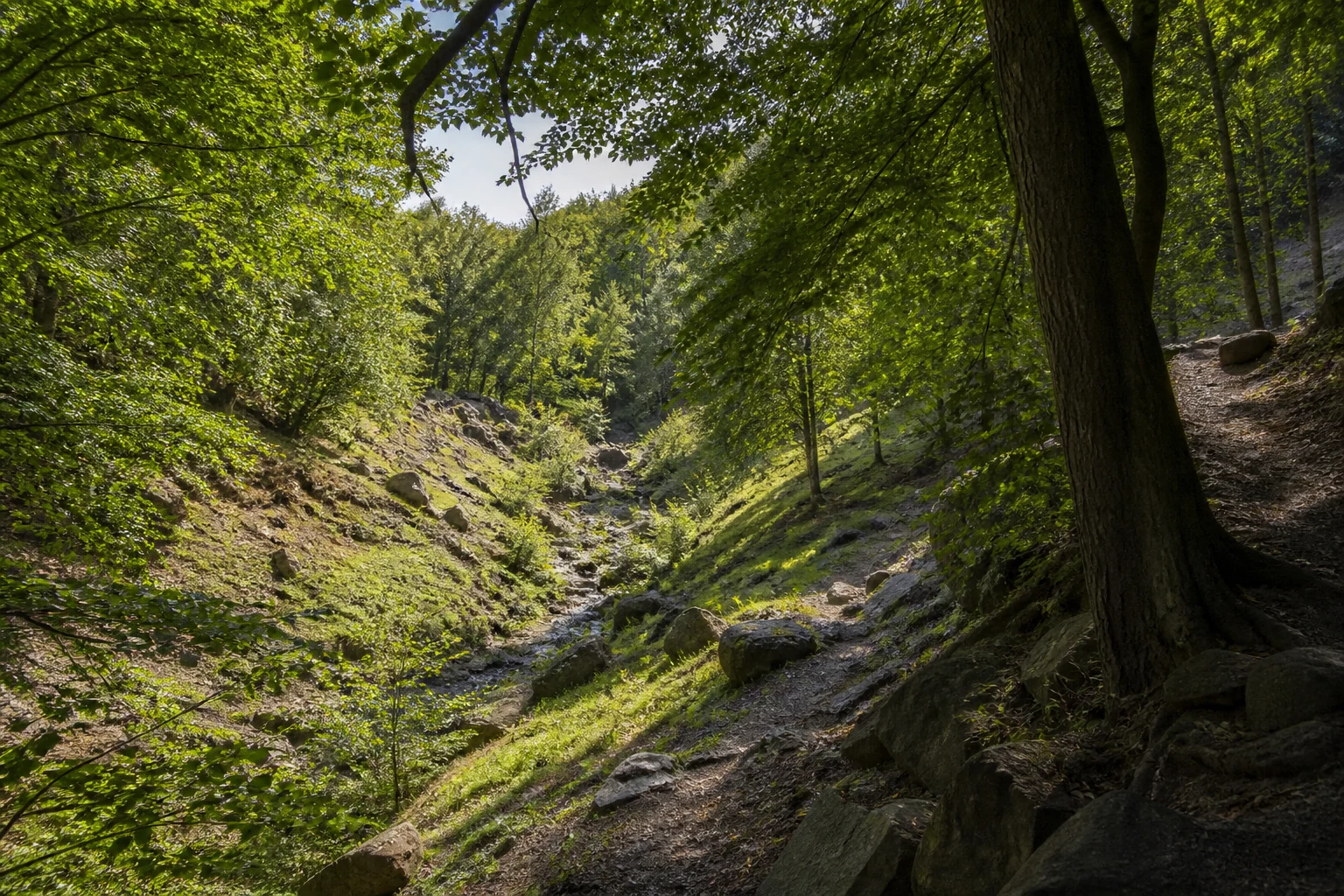 Weilberg bei Thomasberg