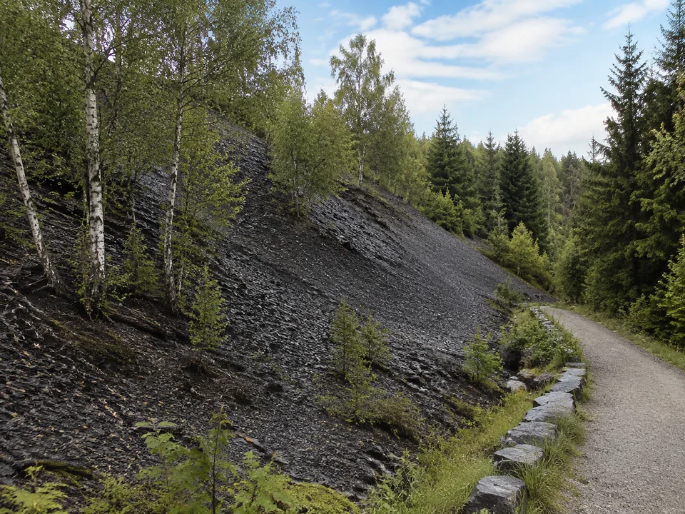 Lehestener Schieferlandschaft: Dunkelgraue flach geschichtete Schieferhalde mit Birken und Fichten neben gesichertem Besucherweg, keine erfundene Abbaumaschine