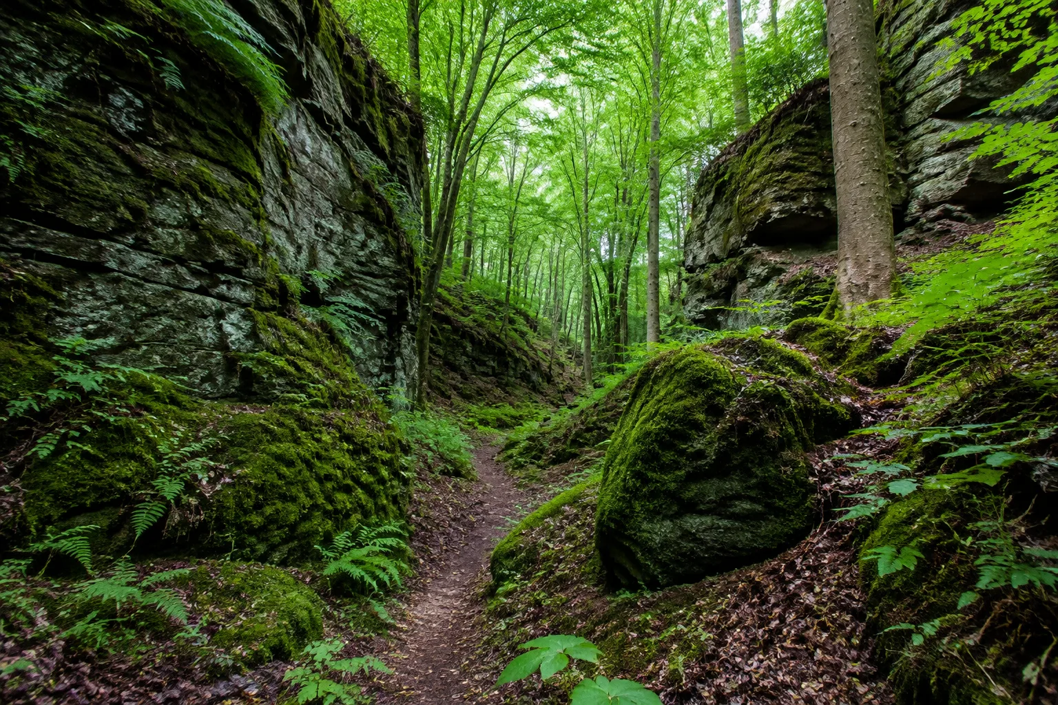 Westlicher Thüringer Wald: moosiger Laubwaldpfad zwischen Sandsteinfelsen bei Eisenach