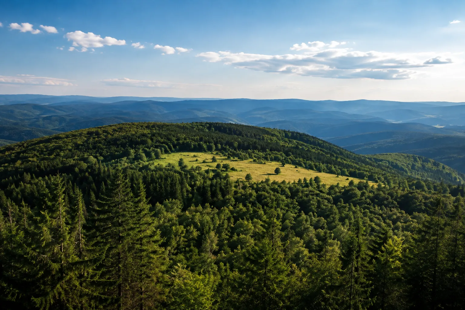 Thüringer Wald: Thüringer Wald: langer bewaldeter Mittelgebirgskamm mit Bergwiese und blau gestaffelten Höhen