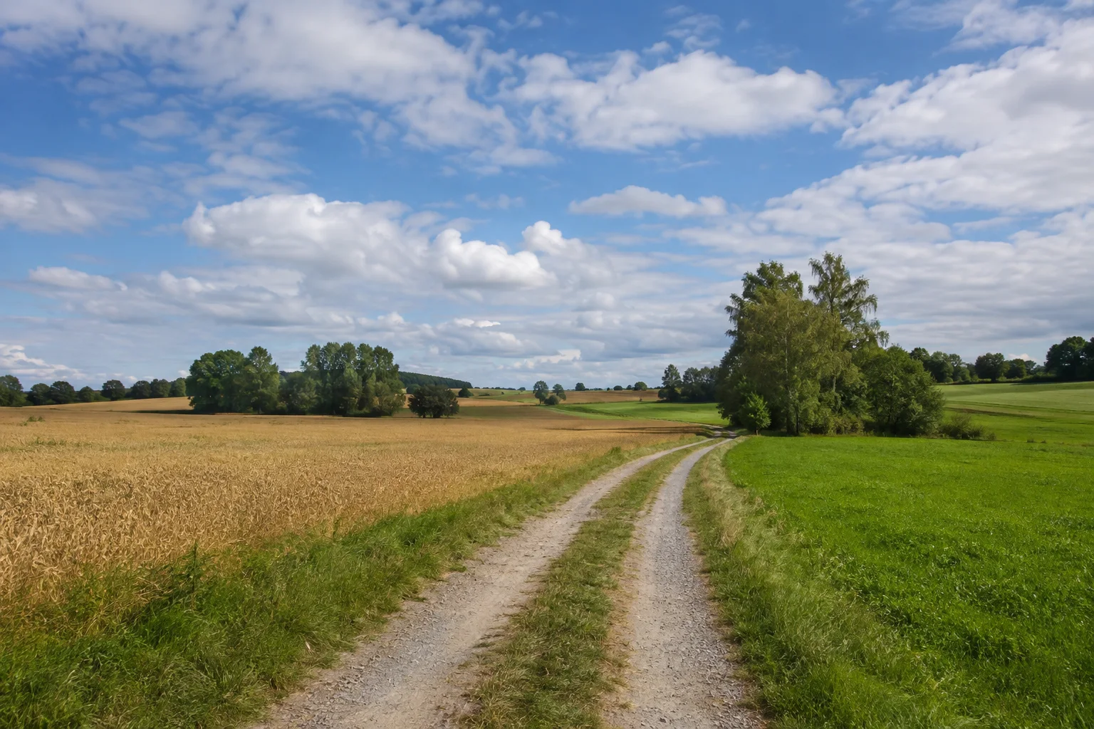 Großklenauer Fluren: Feldweg zwischen weiten Äckern und grünen Wiesen, wenige Baumgruppen ohne hohe Berge.