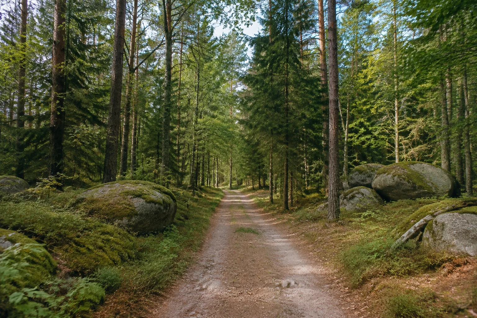 Matzersreuther Granitwald: ruhiger Forstweg unter Nadel- und Laubbäumen mit einzelnen gerundeten Granitblöcken.