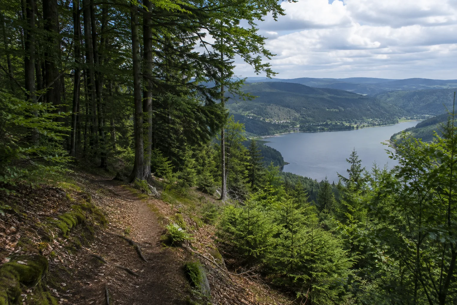 Hochfirst: bewaldeter Bergrücken über dem Titisee