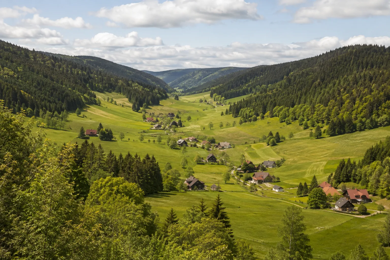 Langenordnachtal: schmales grünes Tal mit Schwarzwaldhöfen und Wiesen