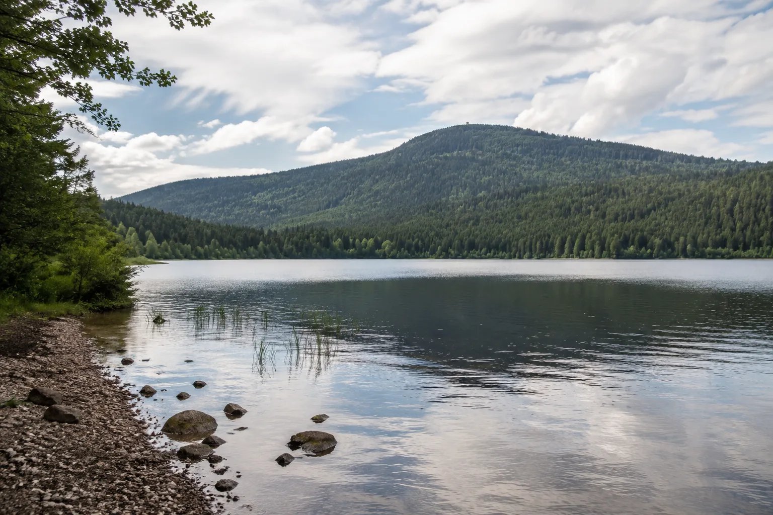Titisee-Neustadt: Titisee-Neustadt: Titisee mit bewaldetem Hochfirst und ruhigem Uferweg