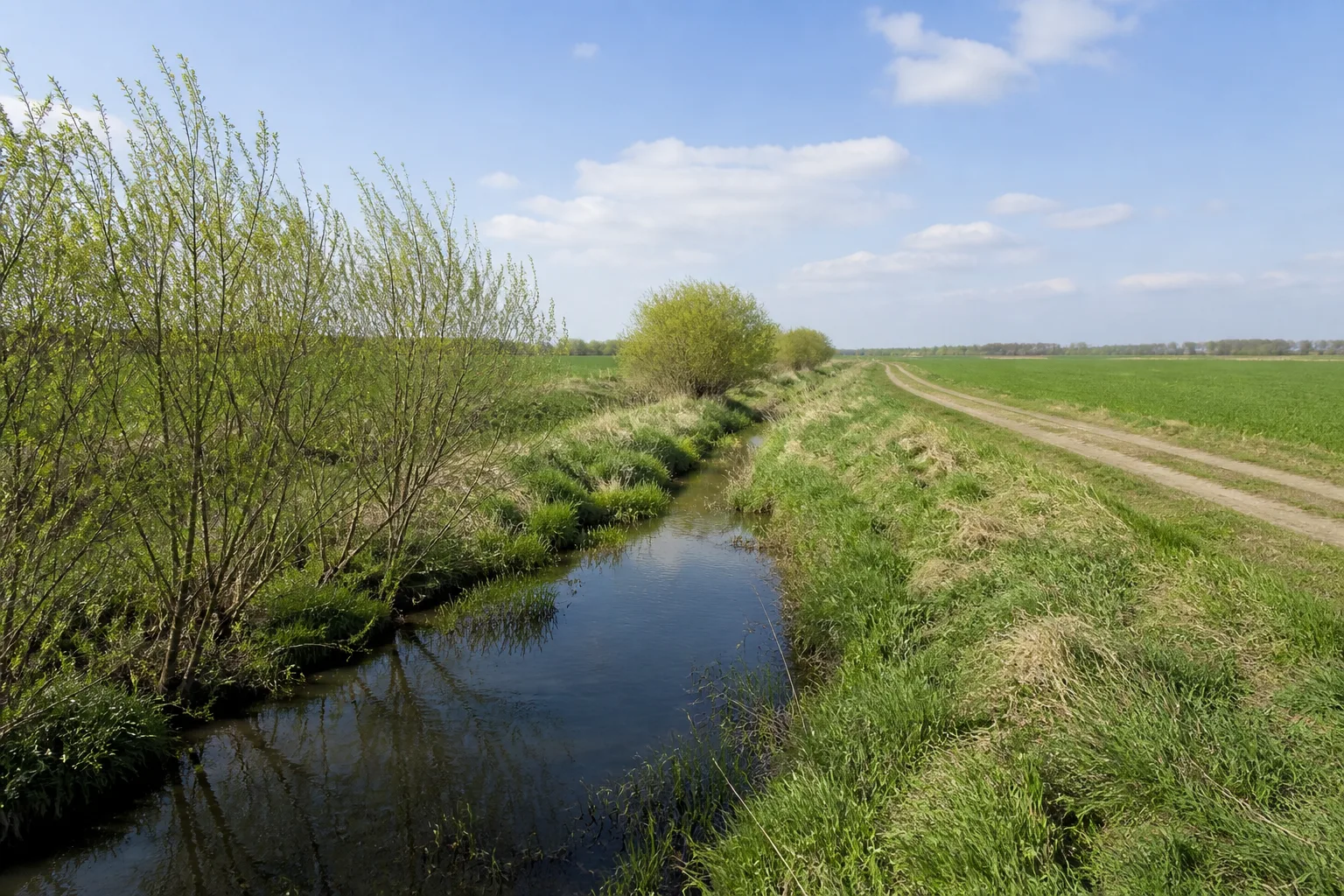 Malefinkbach bei Titz