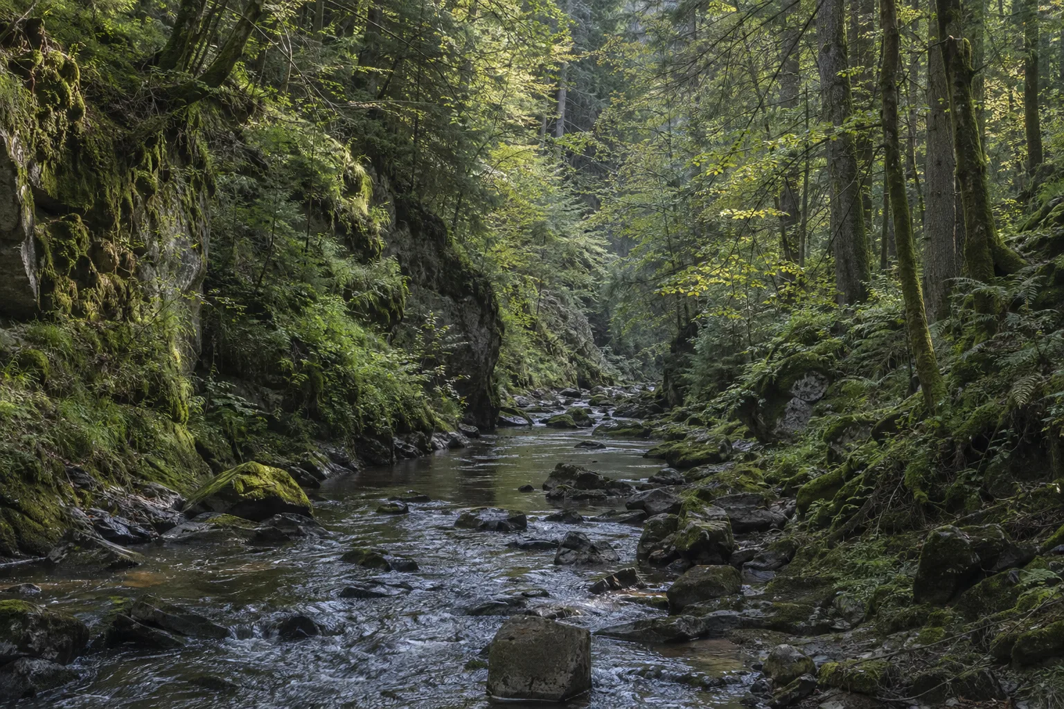 Wehratal: enger Flusslauf in felsigem, dicht bewaldetem Tal