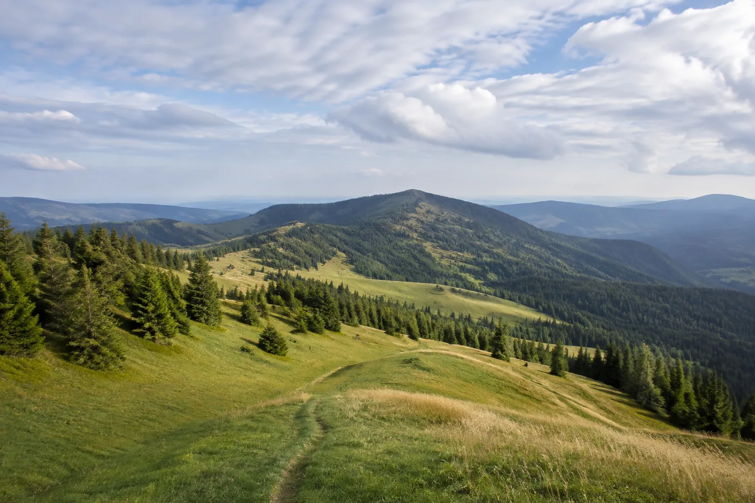 Hochkopf: offene Bergmatten unter einer bewaldeten Kuppe