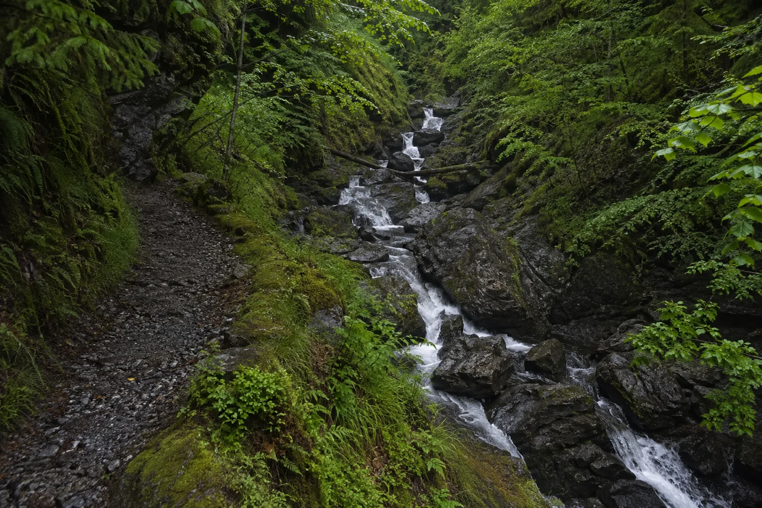 Unterer Zugang: Wasserfallbach und feuchter Waldsteig oberhalb Aftersteg