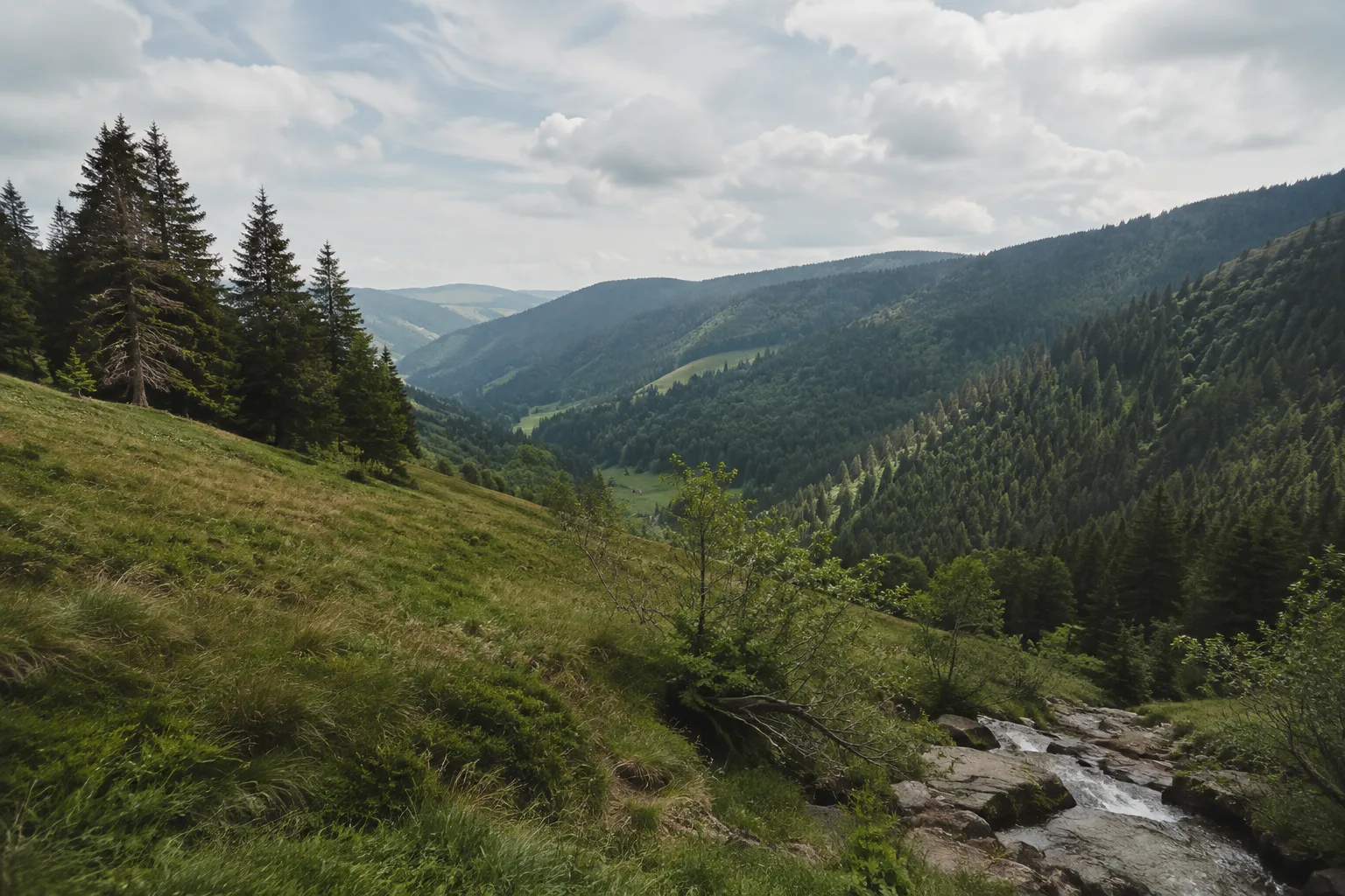 Oberer Zugang: Bergwiesen von Todtnauberg oberhalb des Wasserfalls