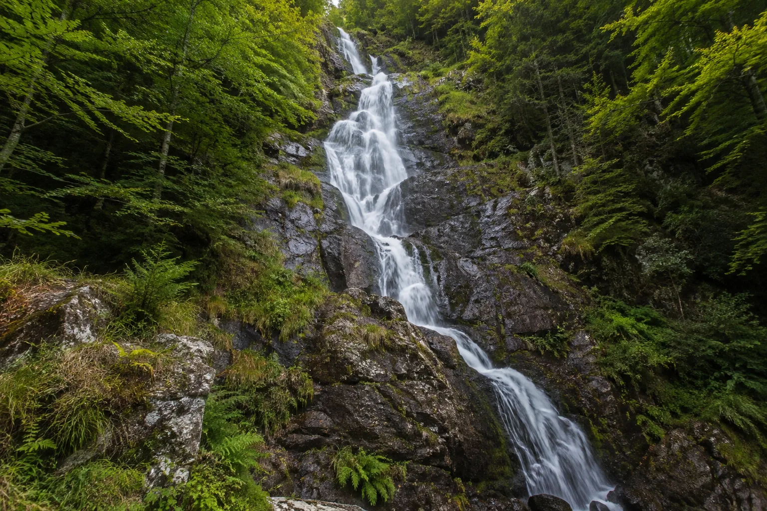 Todtnauer Wasserfall: Aftersteg Wasserfall: Todtnauer Wasserfall: mehrstufige Kaskade über dunklen Fels im steilen Bergwald