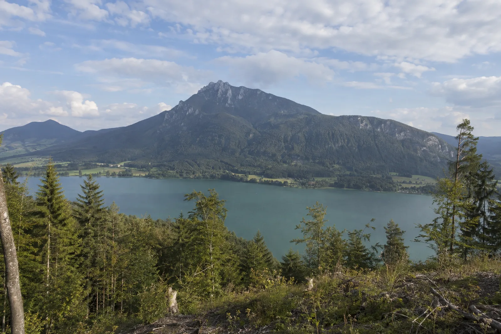 Kochelsee: dunkelblauer Voralpensee unter bewaldeten Steilhängen