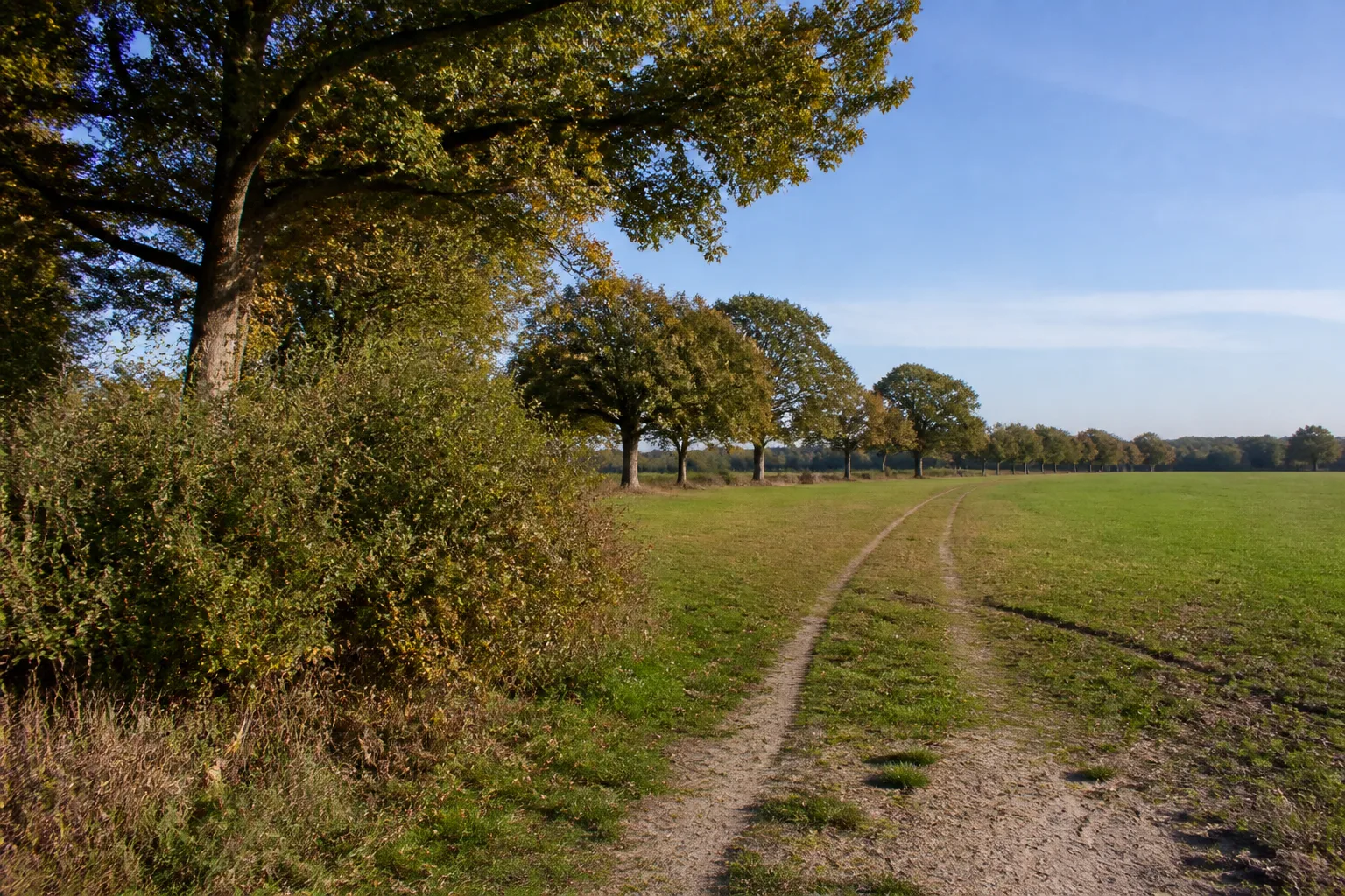 Tönisvorst: Landschaft beim Wandern in Tönisvorst