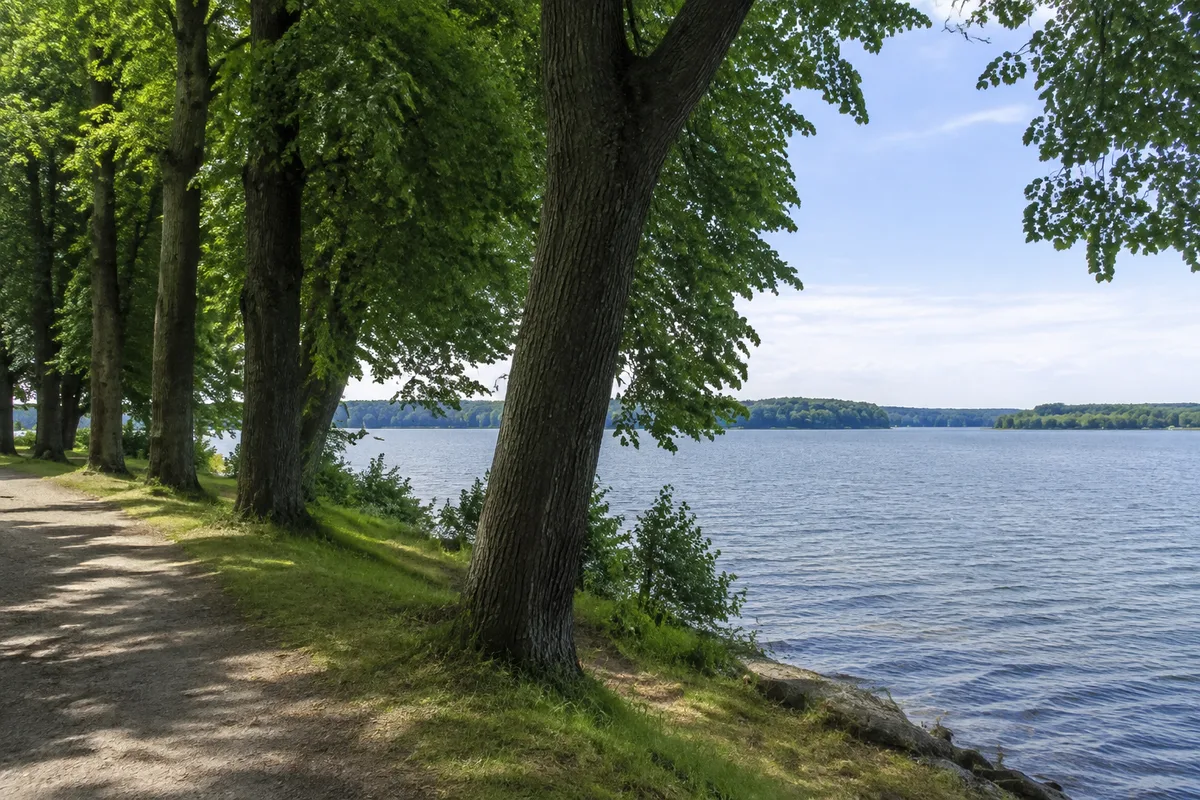 Uferweg beim Augustabad mit hohen Laubbäumen und See zwischen den Stämmen