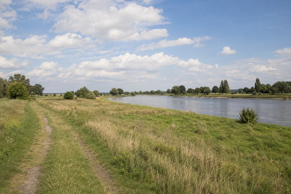 Torgau: Torgau Bahnhof: Torgauer Elbufer: breiter Fluss mit flachen Wiesen, Weiden und weitem Himmel ohne erfundene Schlossansicht