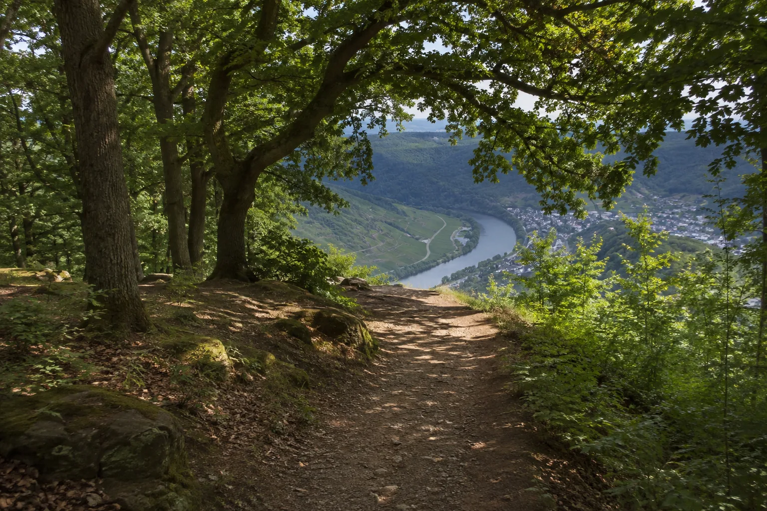 Mont Royal: bewaldete Höhe über einer Moselschleife