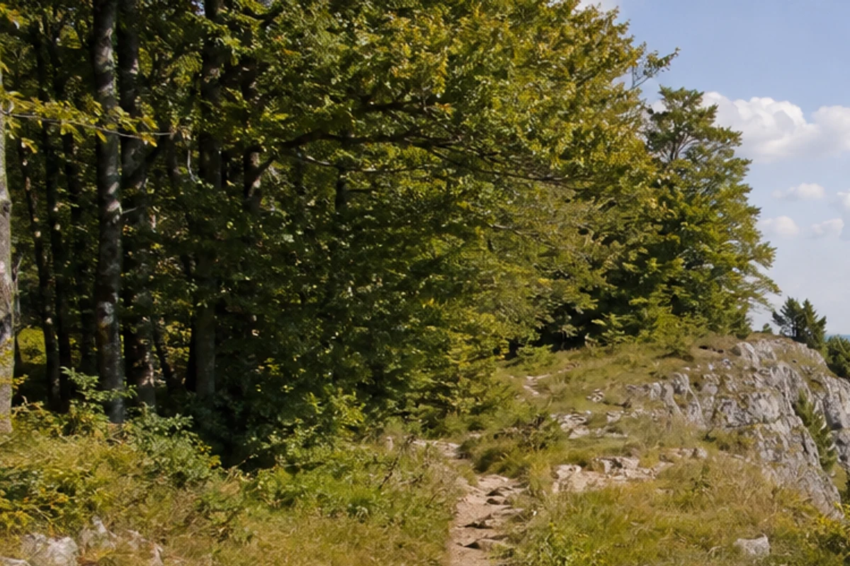 Zollernburg-Panorama: Blick vom Zeller Horn auf die Burg Hohenzollern