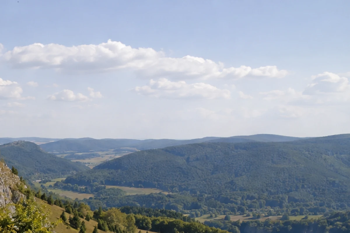 Felsenmeer: moosige Kalkblöcke in dichtem Hangwald bei Burgfelden