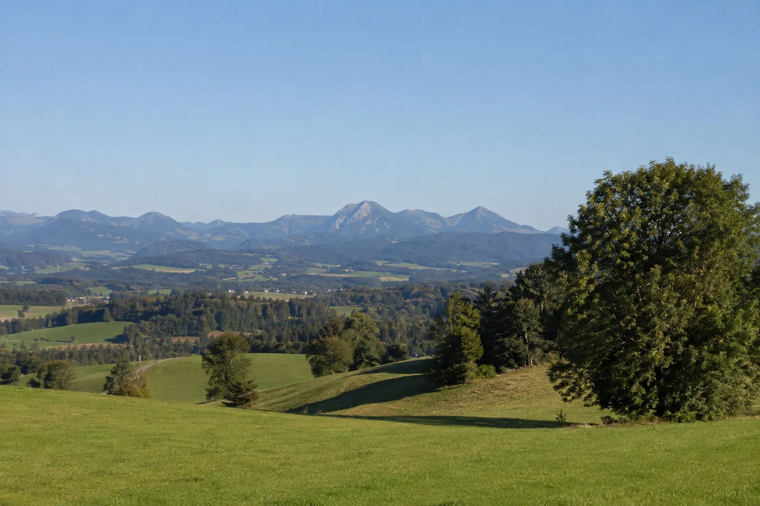 Hochberg bei Traunstein: sanfter Wiesenrücken mit weitem Blick zu den fernen Chiemgauer Alpen