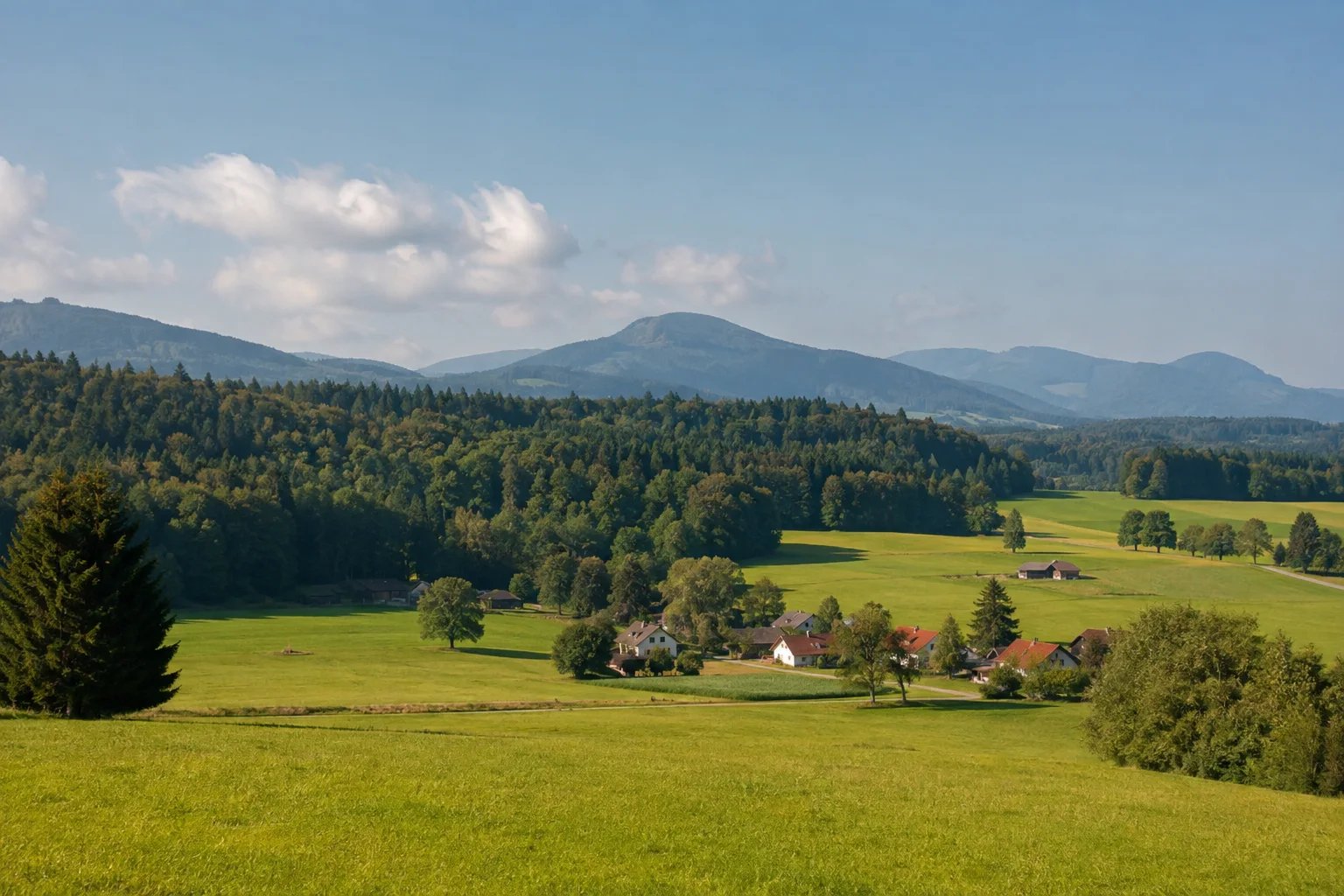 Kammer bei Traunstein: Dorfwiesen und gemischter Wald in sanftem nördlichem Hügelland
