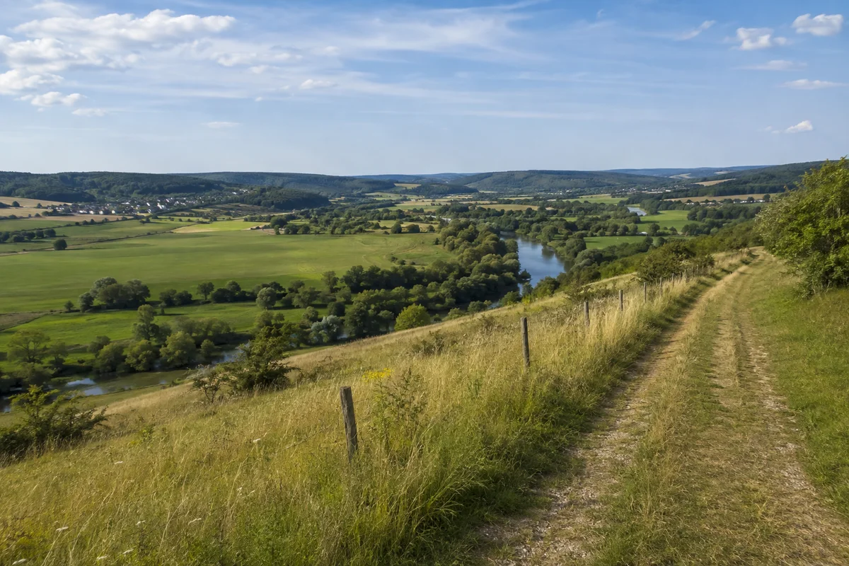 Eberschütz: offener kalkiger Wiesenhang über Diemelauen mit landwirtschaftlichem Weg
