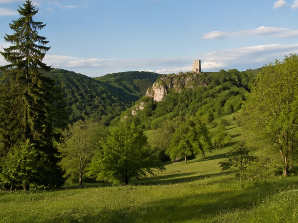 Möhrenbachtal: ruhiger Waldweg mit Burgruine in der Ferne