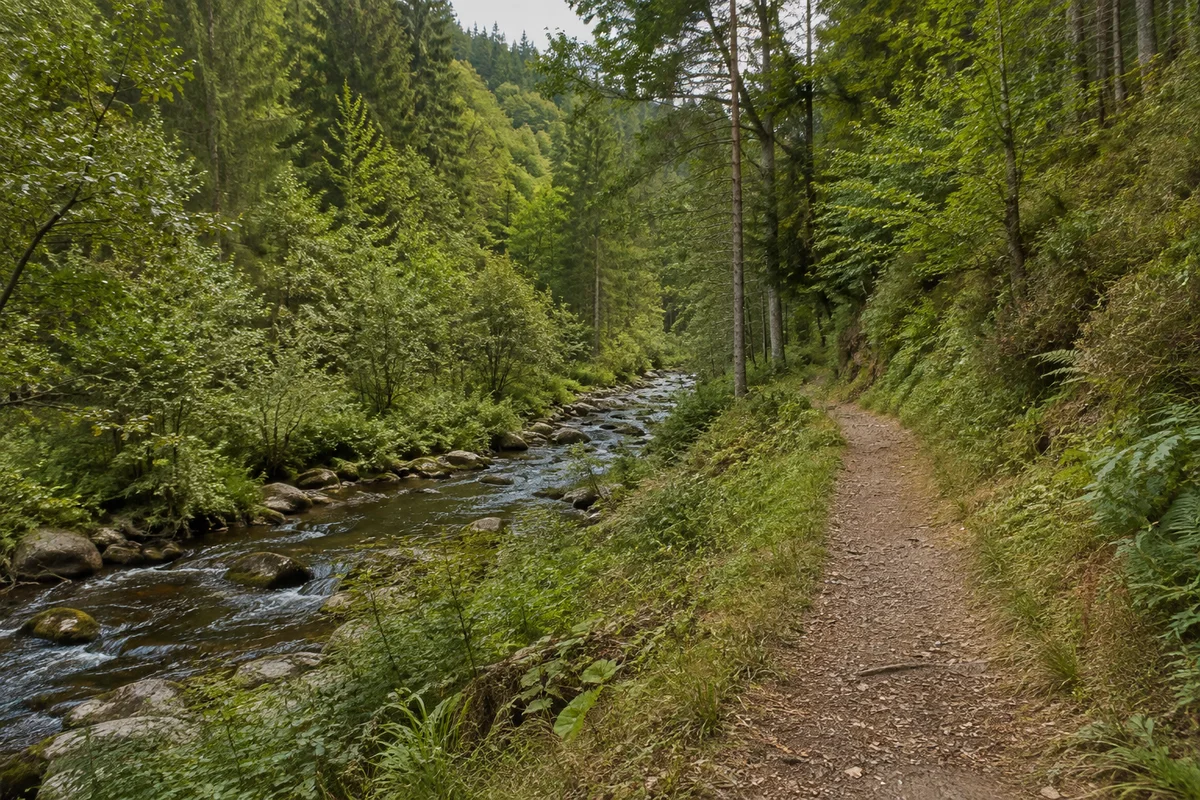 Nördliches Seitental mit engen Bachabschnitten und bewaldeten Bergrücken.
