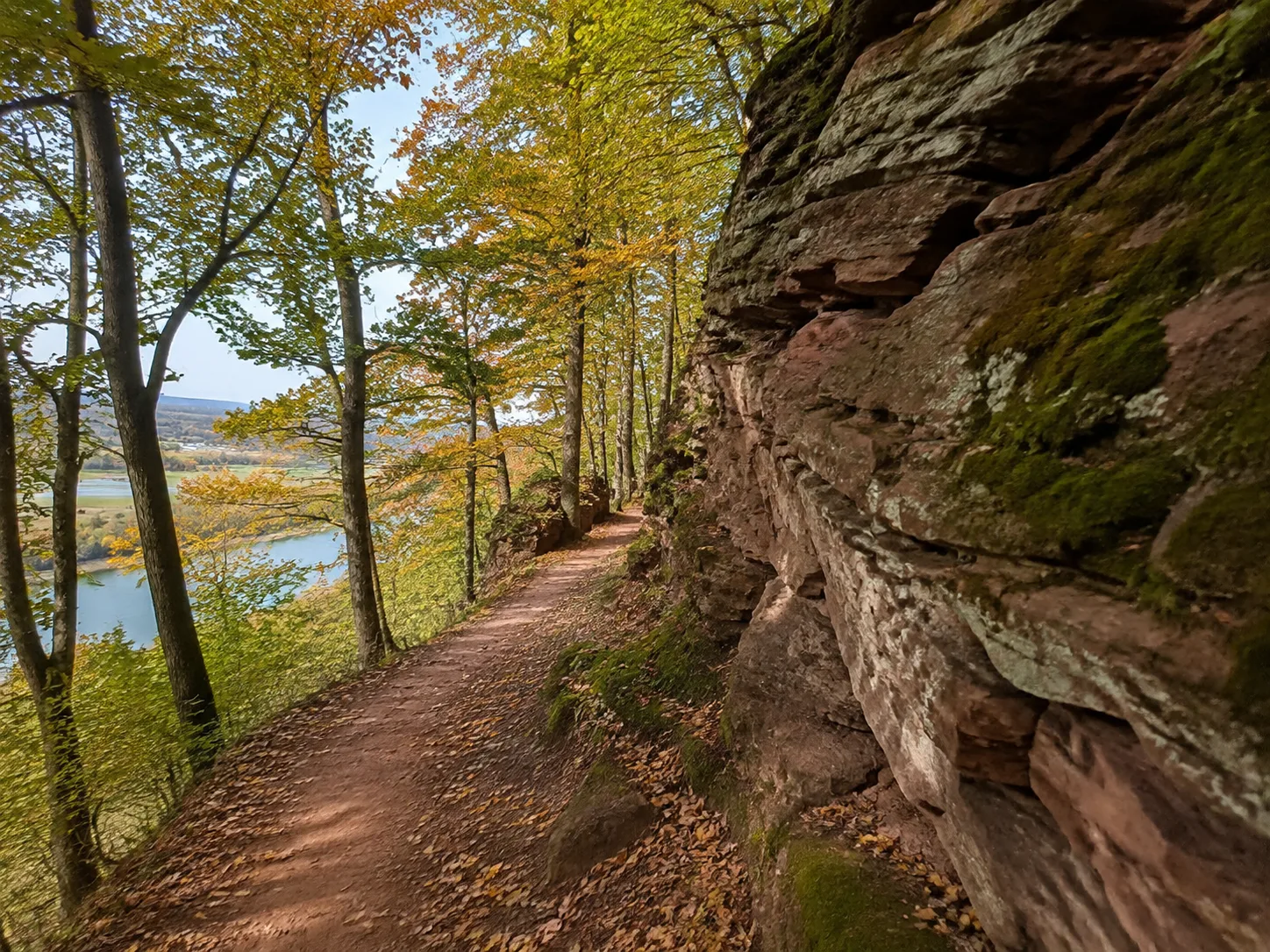Trierer Höhen: Wald und Rebhänge am Moseltal