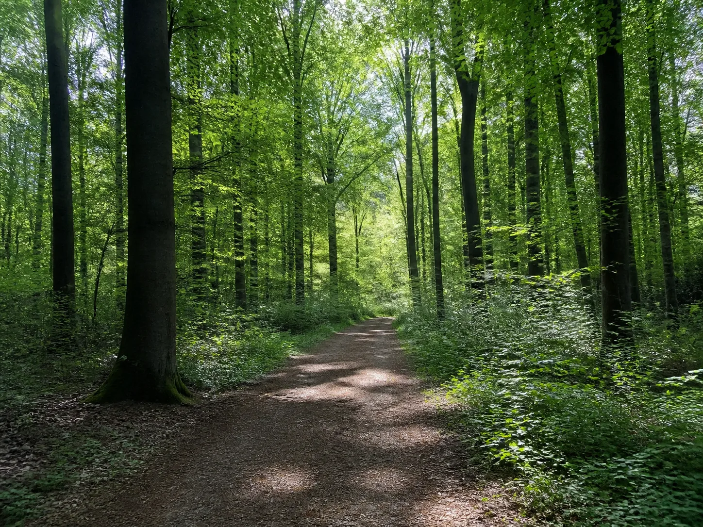 Felsenpfade: felsiger Hangweg mit weitem Talblick
