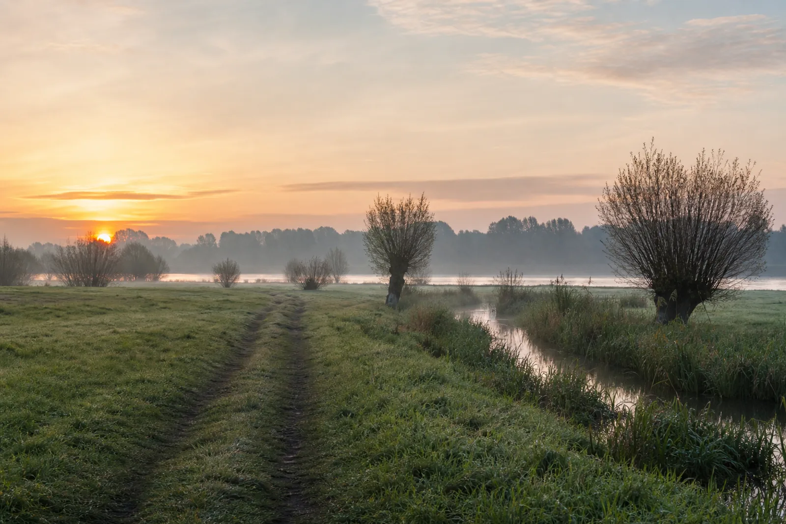 Wiesenweg an einem Seitenarm in der Siegaue bei Troisdorf-Bergheim