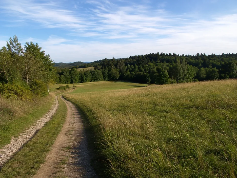 Traubinger Fluren bei Tutzing: wellige Wiesen, Waldsäume und ein unbefestigter Weg, keine dramatischen Gipfel