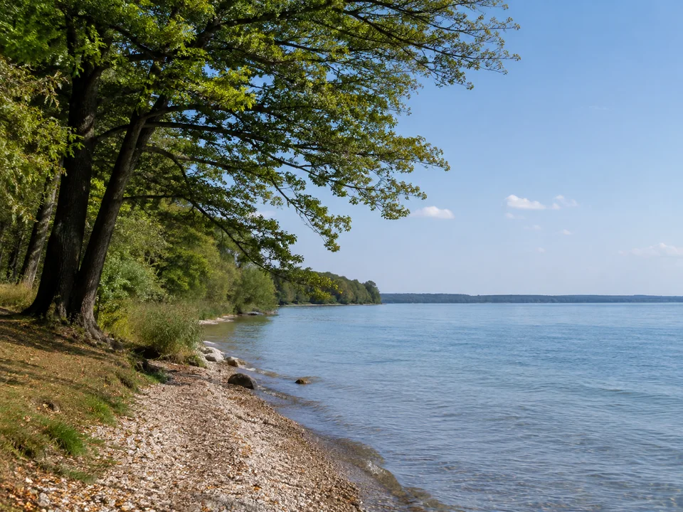 Starnberger See bei Tutzing: ruhiges Westufer mit schmalem Kiesstrand und alten Laubbäumen, offener Seeblick