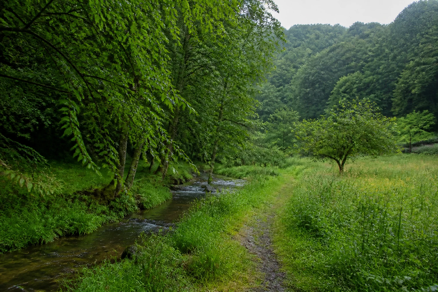 Derenbach unterhalb von Uckerath