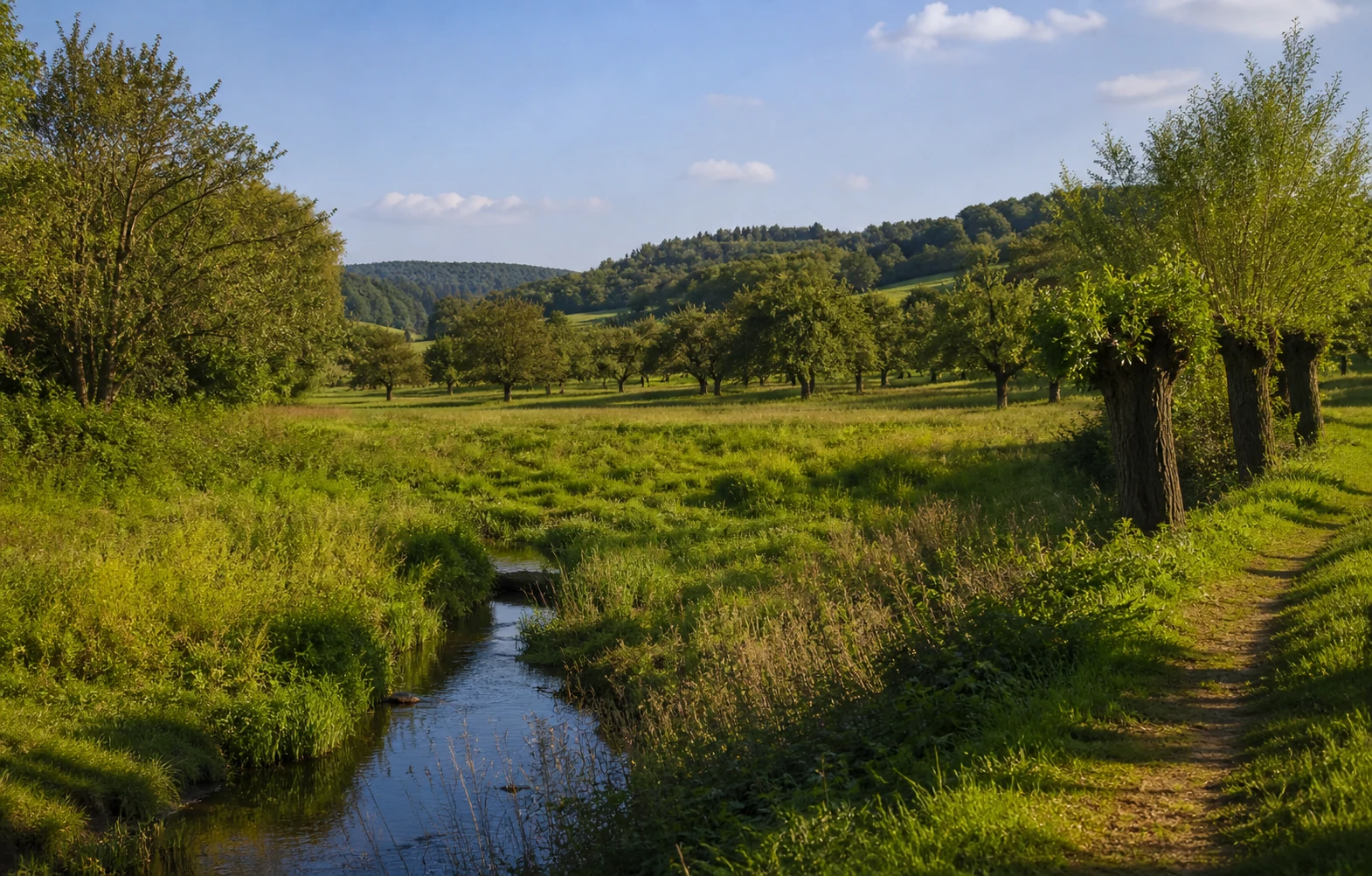 Hanfbachtal bei Uckerath