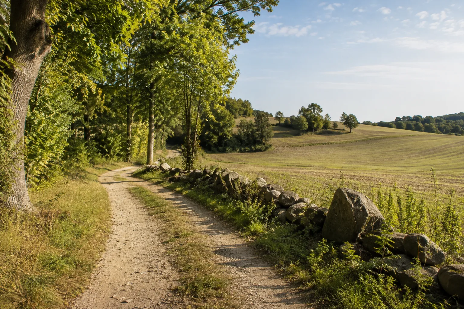 Südlicher Landrundenraum: ländlicher Weg mit Lesesteinen neben Wald und sanften Ackerhügeln bei Ringenwalde