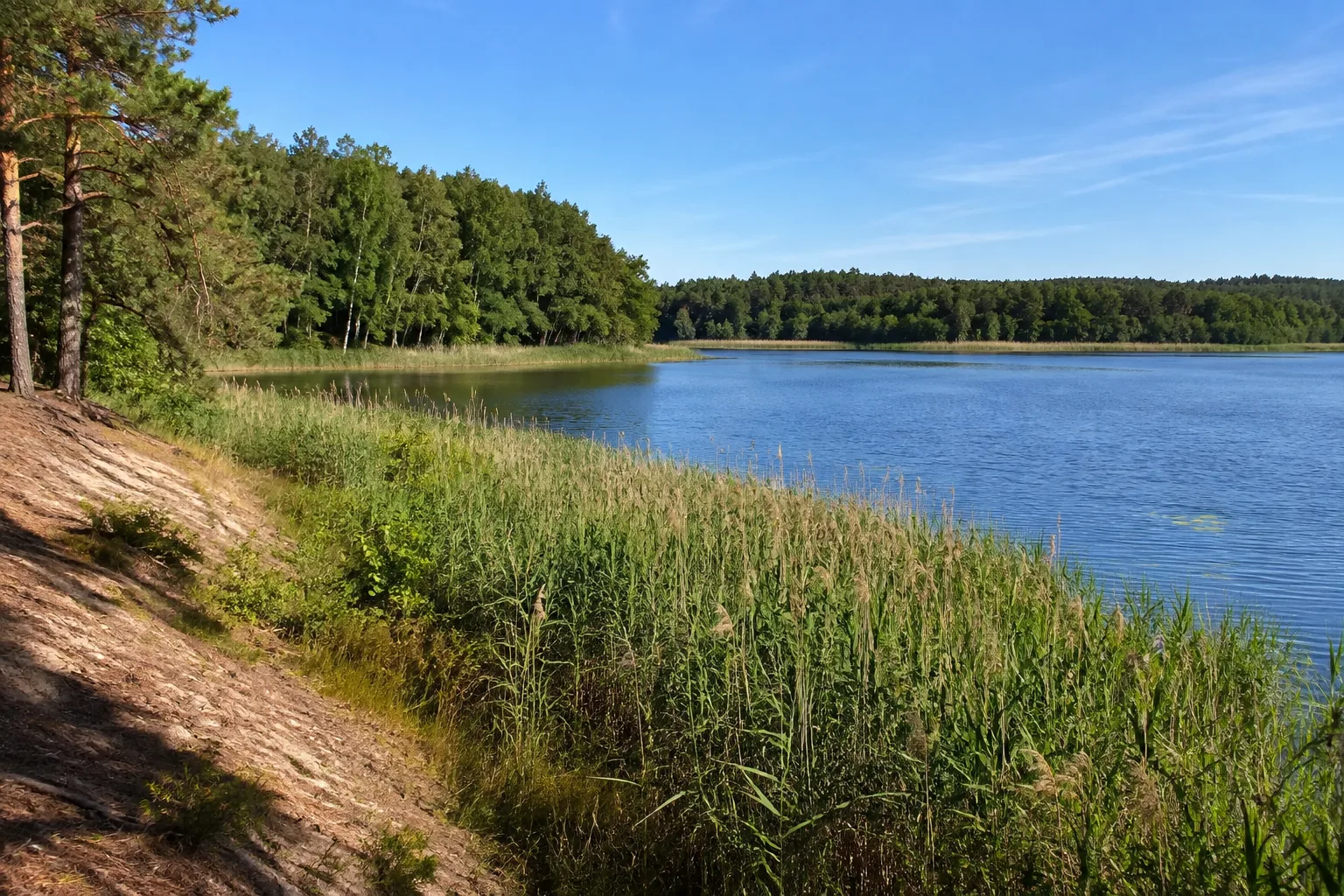 Westliche Seenlandschaft: schilfgesäumter See zwischen Buchenwald und Kiefern auf sandigem Boden