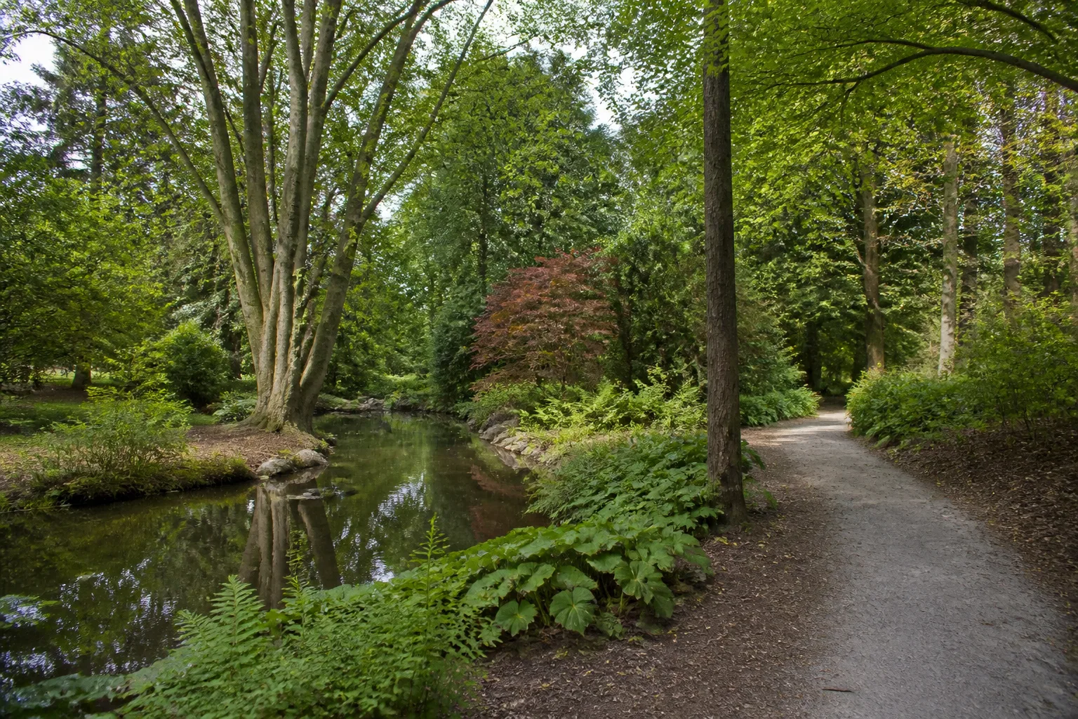 Teiche und Gehölze im Willy-Dohmen-Park
