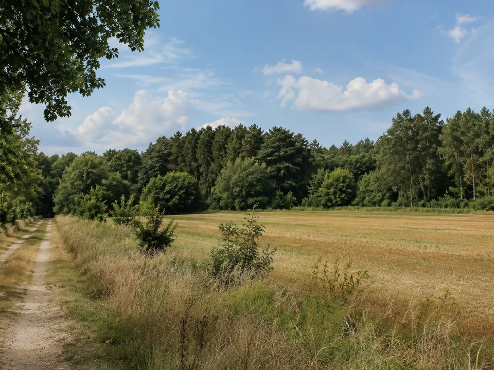Feldrand bei Holdenstedt mit Laubmischwald und kleinen Gehölzen in ebener Landschaft