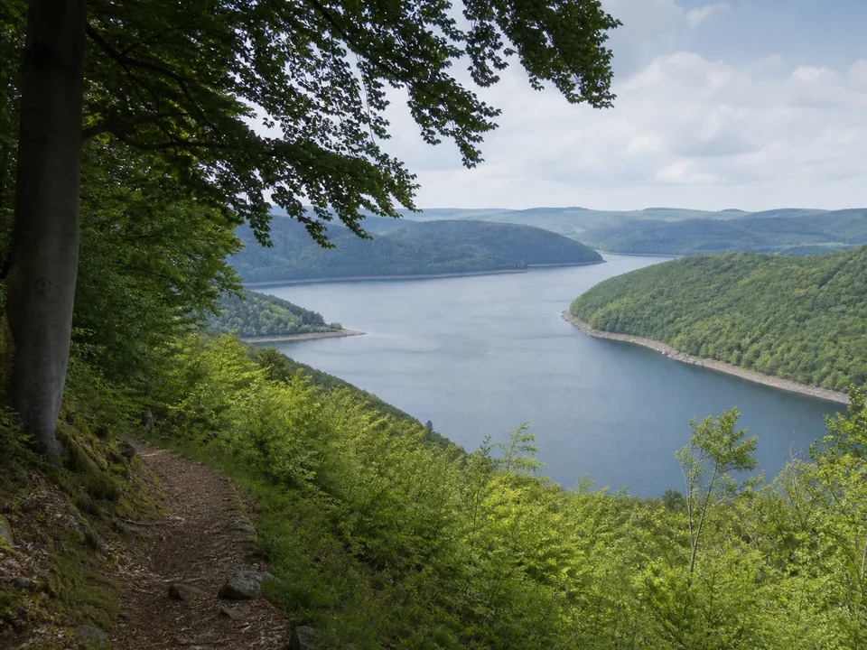 Halbinsel Scheid: Waldpfad mit Blick über lange Ederseebuchten