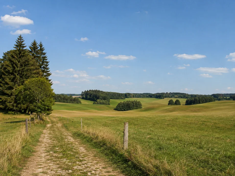 Achselschwang bei Utting: offene Weidelandschaft auf sanftem Moränengelände mit Feldweg und kleinen Waldinseln